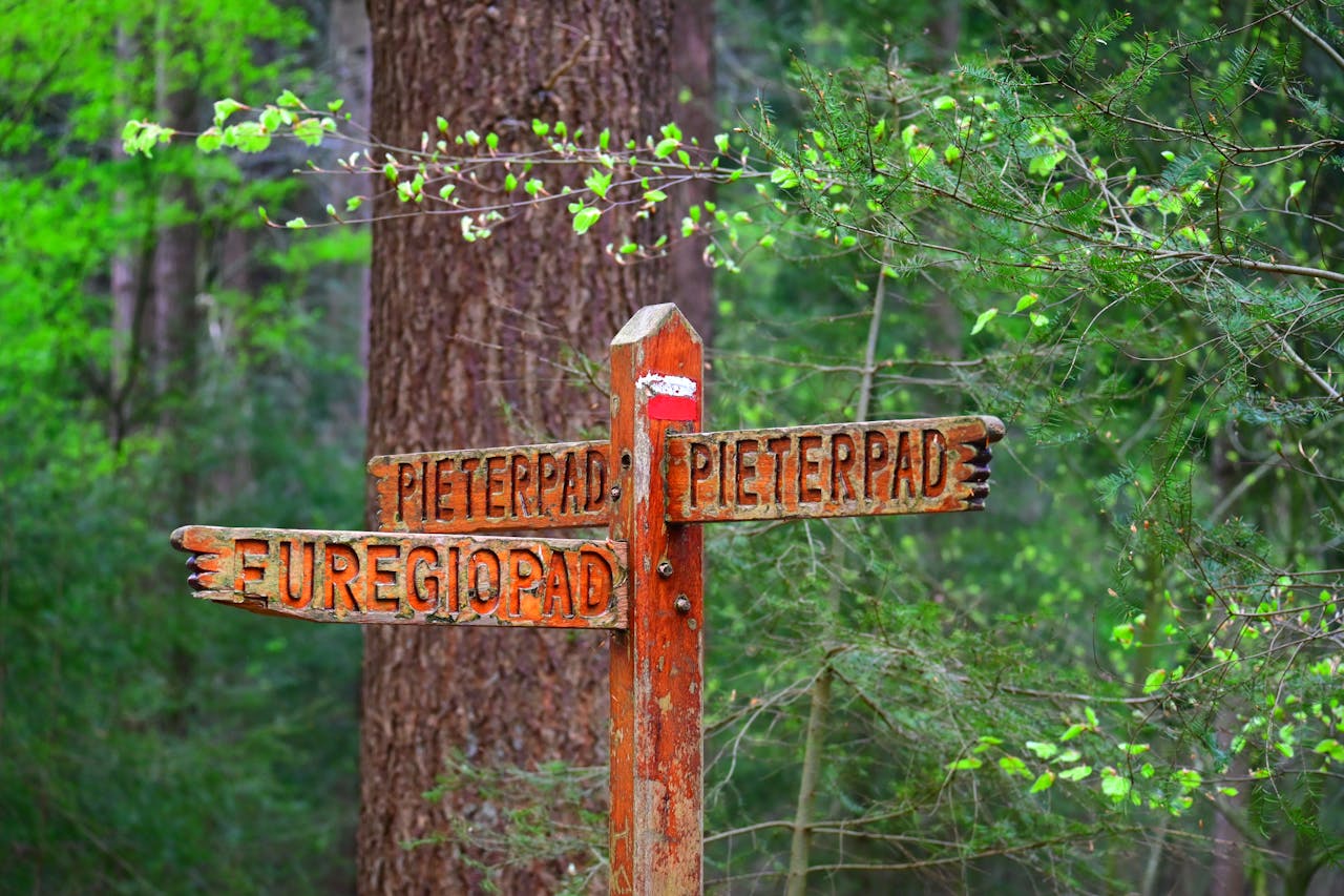 Wandelen door Nederland over het Pieterpad in de lente